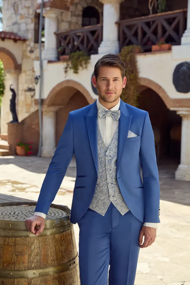 1232-390-VENDEE-BLEU-PARL